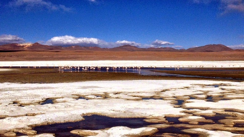 Кровавая лагуна в Боливии LagunaColorada04 Кровавая лагуна в Боливии