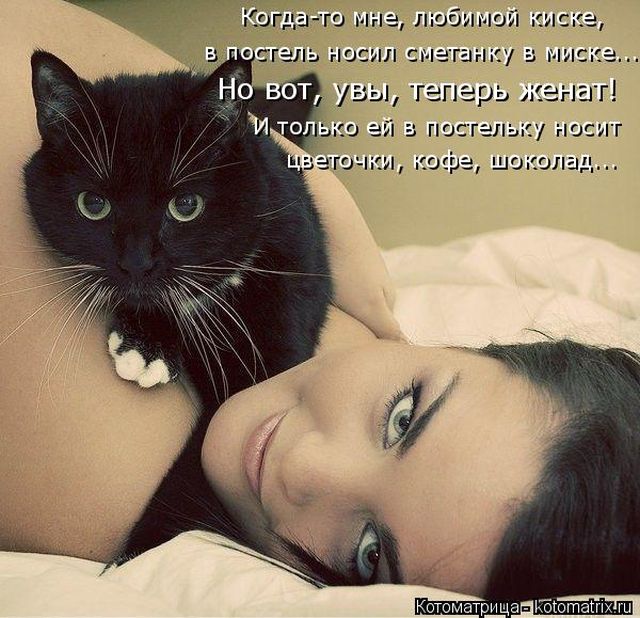 Котоматрицы великолепные, каждая с кусочком тепла, позитива и улыбкой!!! Всем добрых событий сегодня!!! Котоматрицы великолепные, каждая с кусочком тепла, позитива и улыбкой!!! Всем добрых событий сегодня!!!