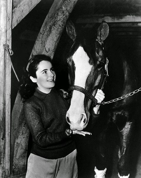   40- 