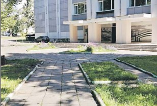 На Новой улице вывезли аварийные деревья