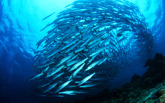 Куда поехать тем, кто уже все видел Куда поехать тем, кто уже все видел