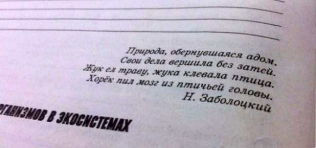 24 задачи из учебников, от которых волосы дыбом встают знания-сила, маразм, образование, реформа, учебники