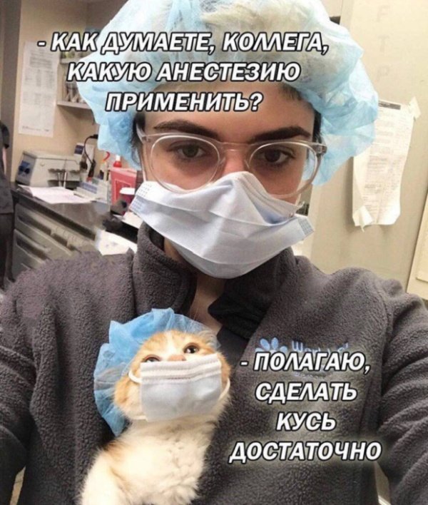 Прикольные картинки абавсём:D Прикольные картинки абавсём:D