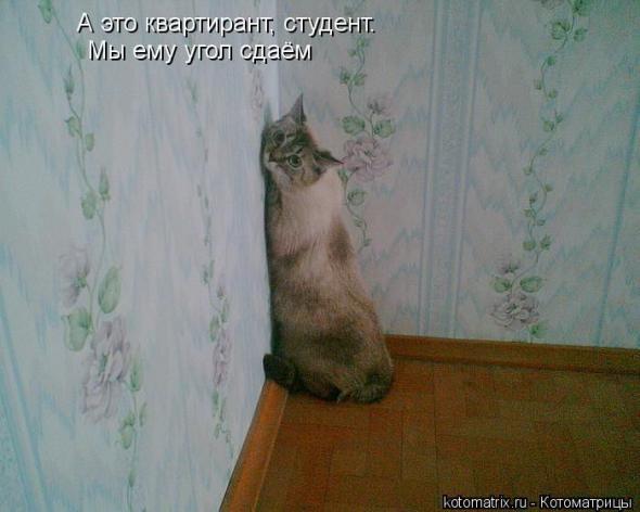 (  )