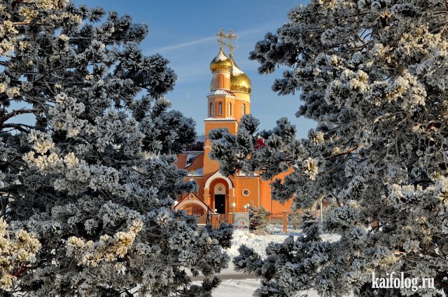 Естественная красота (55 фото)