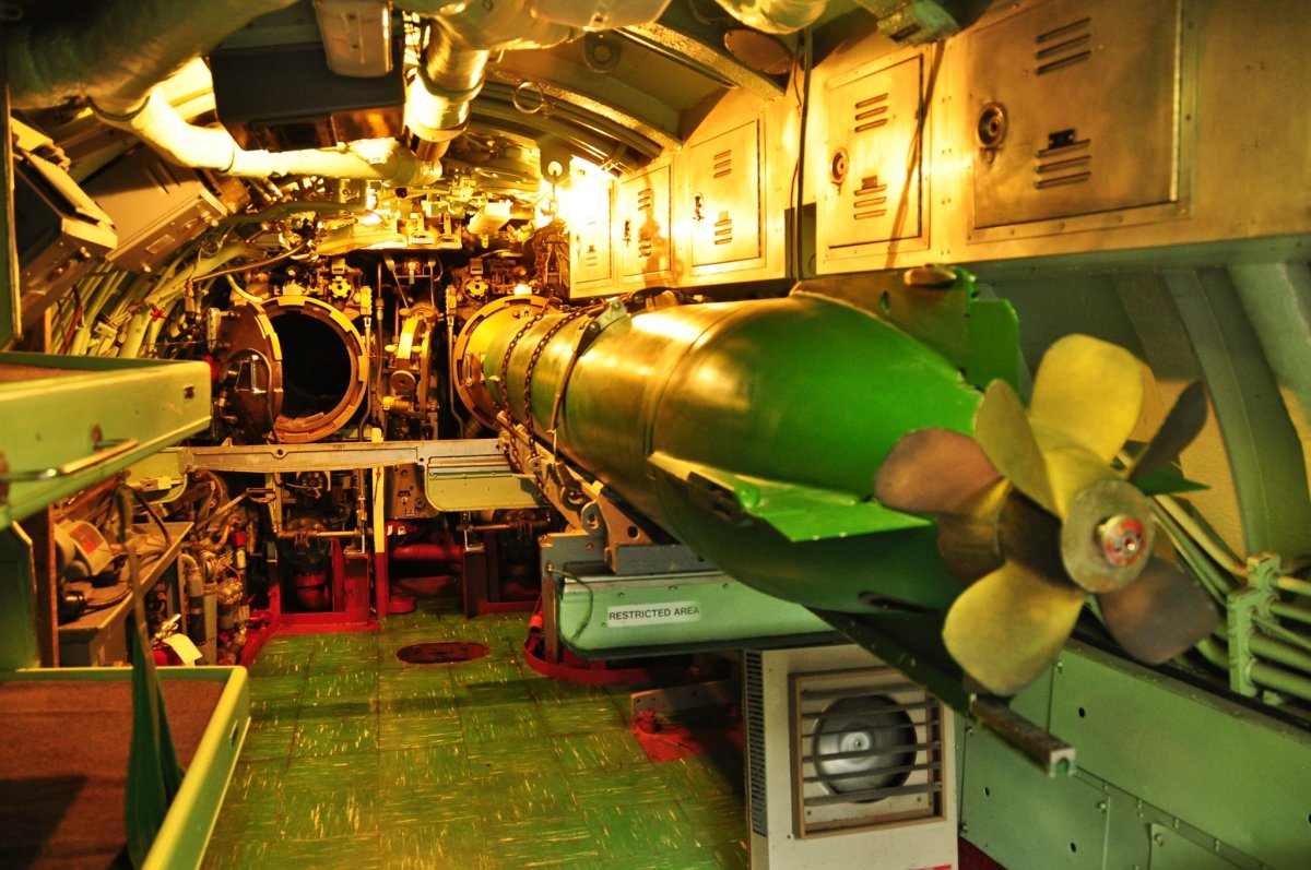 not-all-submarines-come-with-enough-beds-to-make-up-for-this-temporary-bunks-are-sometimes-housed-in-the-torpedo-room-generally-sailors-have-15-square-feet-for-themselves-and-all-their-possessions