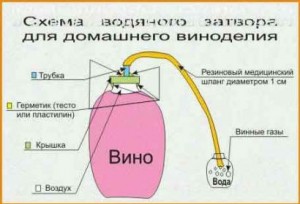 gidrozatvor-dlya-suxogo-vina гидрозатвор для сухого виноградного вина