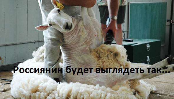 РВЕМ, РЕЖЕМ, ОЩИПЫВАЕМ РВЕМ, РЕЖЕМ, ОЩИПЫВАЕМ