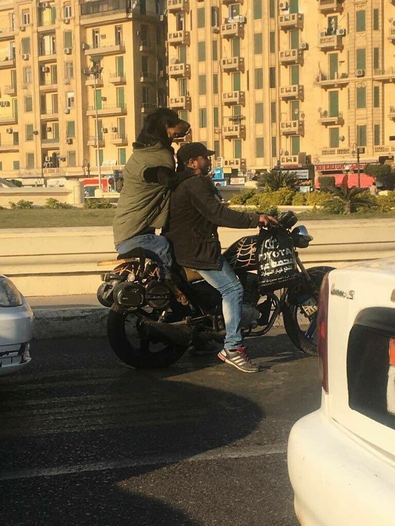 Подборка автомобильных приколов Подборка автомобильных приколов авто, автомобили, автоприкол, автоприколы, подборка, прикол, приколы, юмор