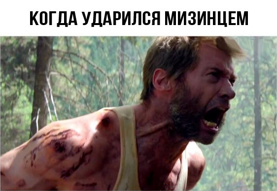 Забавные картинки с надписями со смыслом (12 фото) Забавные картинки с надписями со смыслом (12 фото)