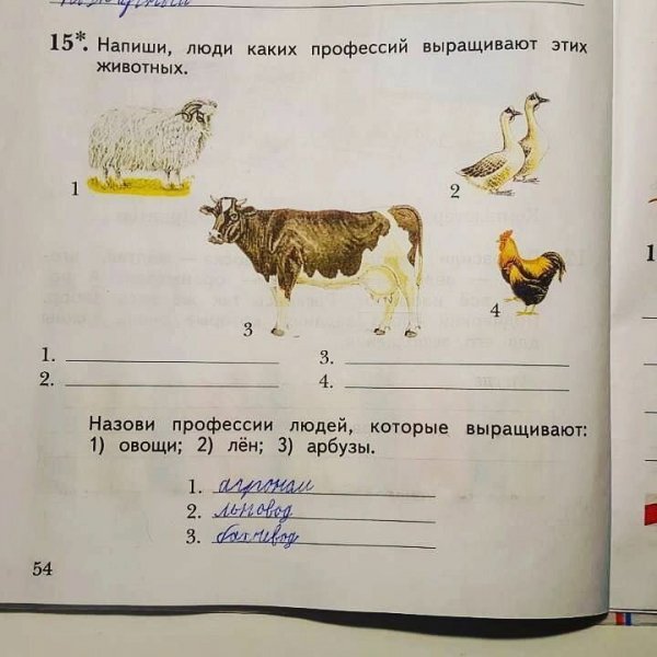 "Что курили авторы?": 17 эпичных и бредовых заданий из современных школьных учебников "Что курили авторы?": 17 эпичных и бредовых заданий из современных школьных учебников