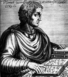 Плиний Старший. Средневековая гравюра.