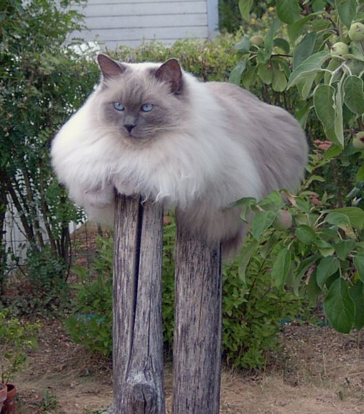 Давайте улыбаться вместе! :)