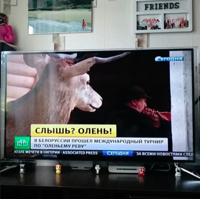 Прикольные картинки абавсём:D Прикольные картинки абавсём:D