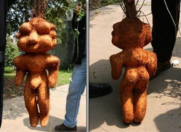 creepyplants59 Самые жуткие растения