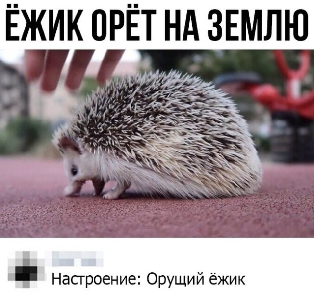Прикольные картинки абавсём:D Прикольные картинки абавсём:D