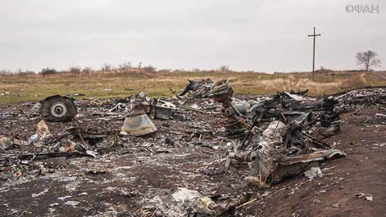 В деле о крушении МН17 над Донбассом появились новые данные