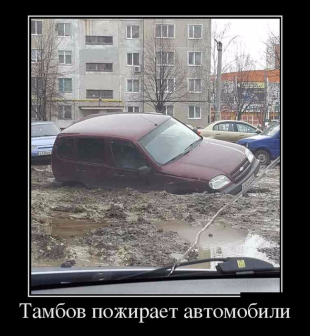 жизнь нужно прожить так чтобы голуби пролетая. Смотреть фото жизнь нужно прожить так чтобы голуби пролетая. Смотреть картинку жизнь нужно прожить так чтобы голуби пролетая. Картинка про жизнь нужно прожить так чтобы голуби пролетая. Фото жизнь нужно прожить так чтобы голуби пролетая