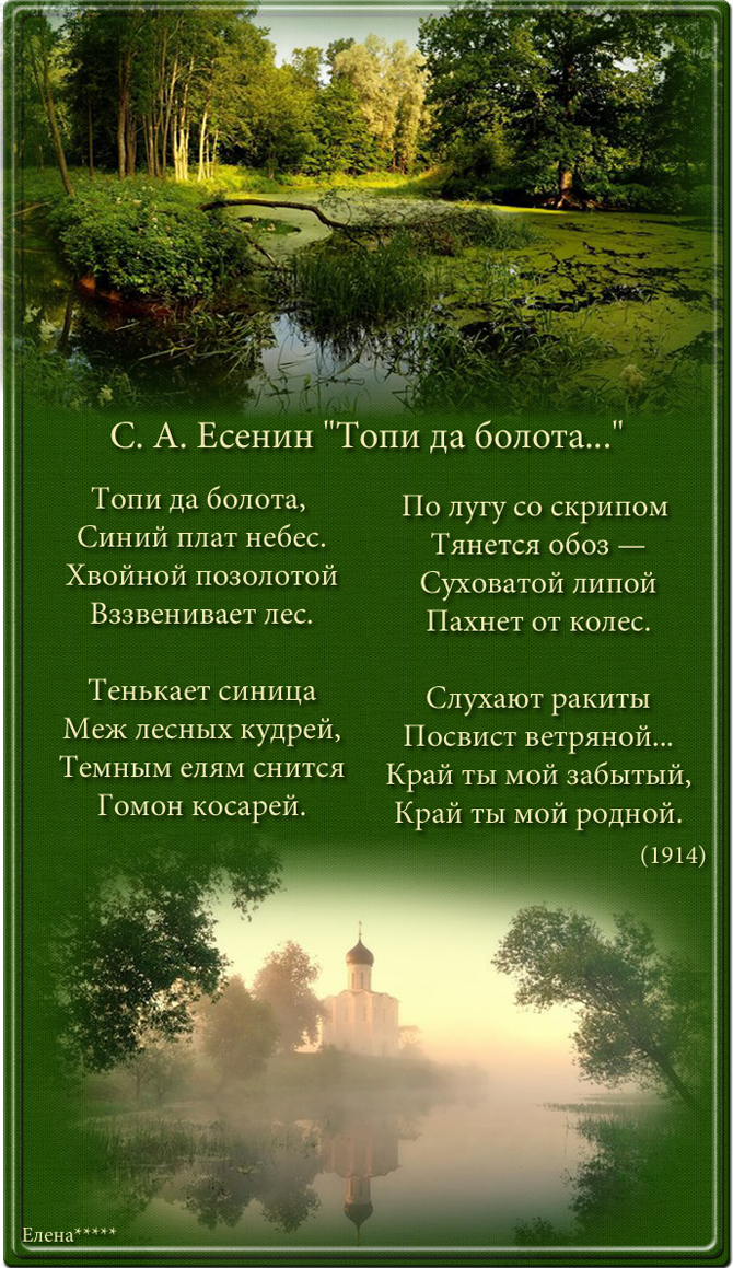 Анализ стих есенина топи да болота Анализ стих есенина топи да болота
