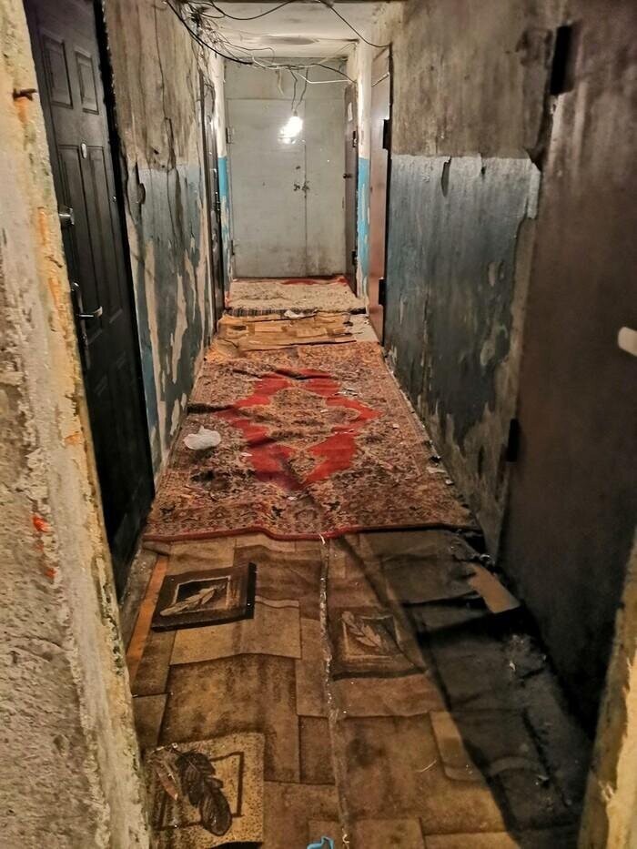 Другие примеры коврового шика Шикарно жить не запретишь
(19 фото)
