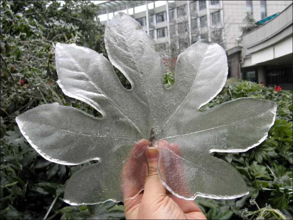 Самые красивые фотографии морозной зимы frozen08 Самые красивые фотографии морозной зимы