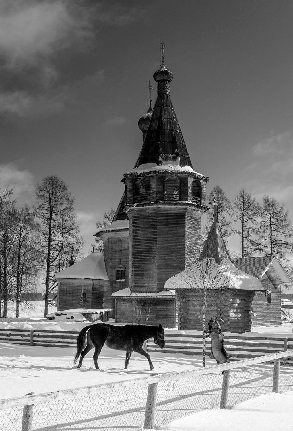 Исчезающие деревянные церкви Русского Севера (ФОТО)