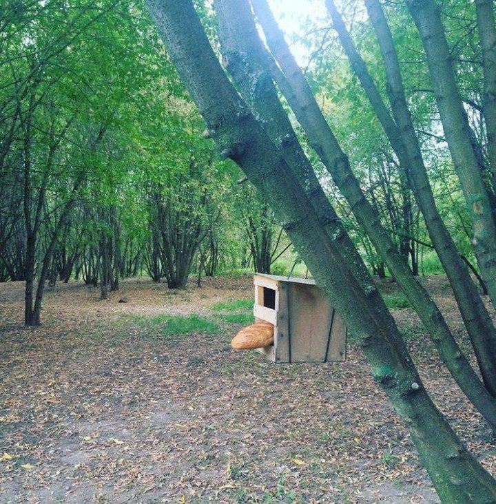 Это Россия, детка. Уморительно!