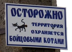 Как защитить загородный дом от воров Как защитить загородный дом от воров