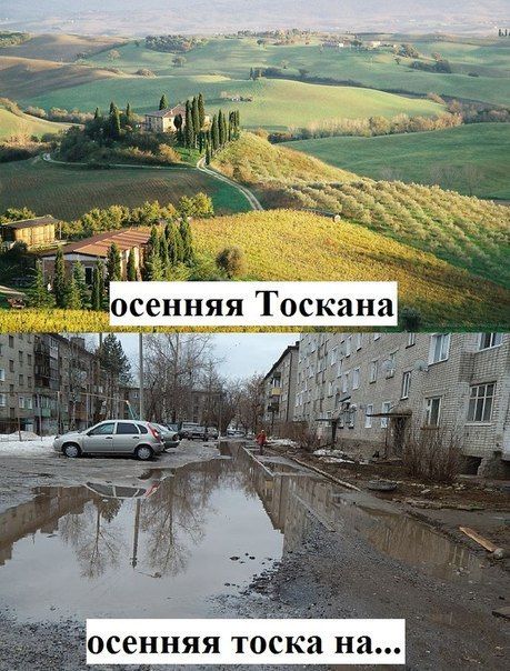 Прикольные картинки. Вечерний выпуск (58 фото) Прикольные картинки. Вечерний выпуск (58 фото)