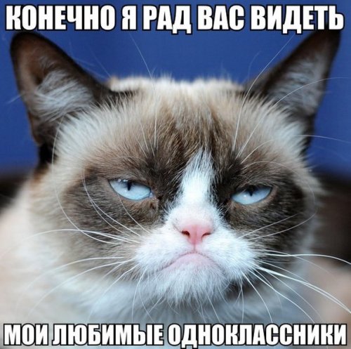 Новые анекдоты