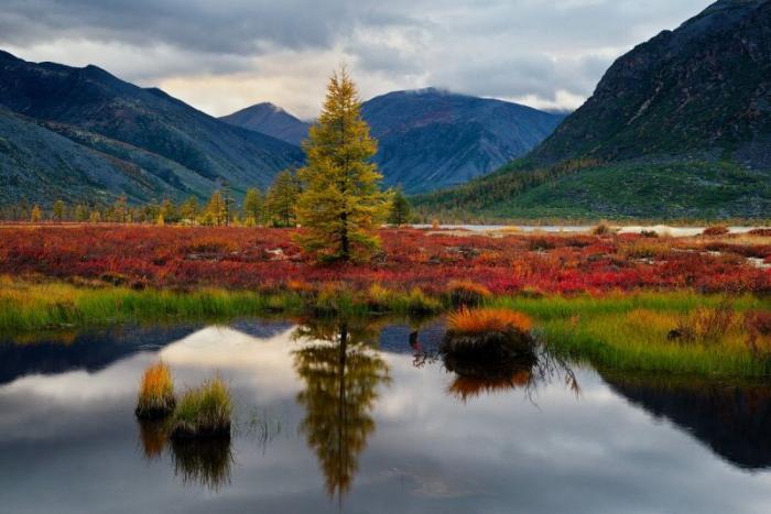 Магаданские красоты на снимках Алексея Харитонова (17 фото)