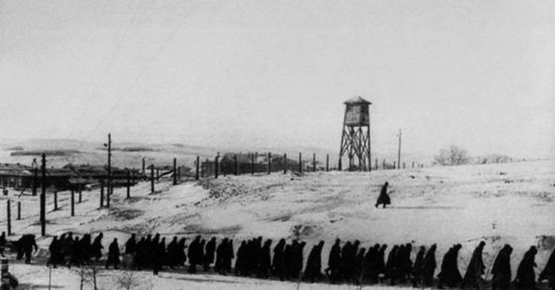 Каннибалы ГУЛАГа.