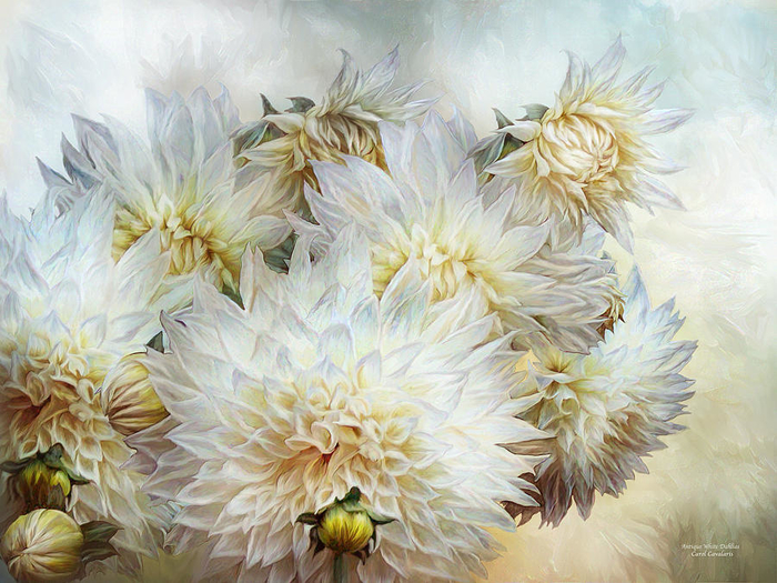 antique-white-dahlias-carol-cavalaris (700x525, 478Kb)