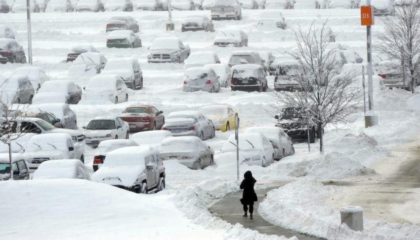 интересное, фотографии, США, заморозки