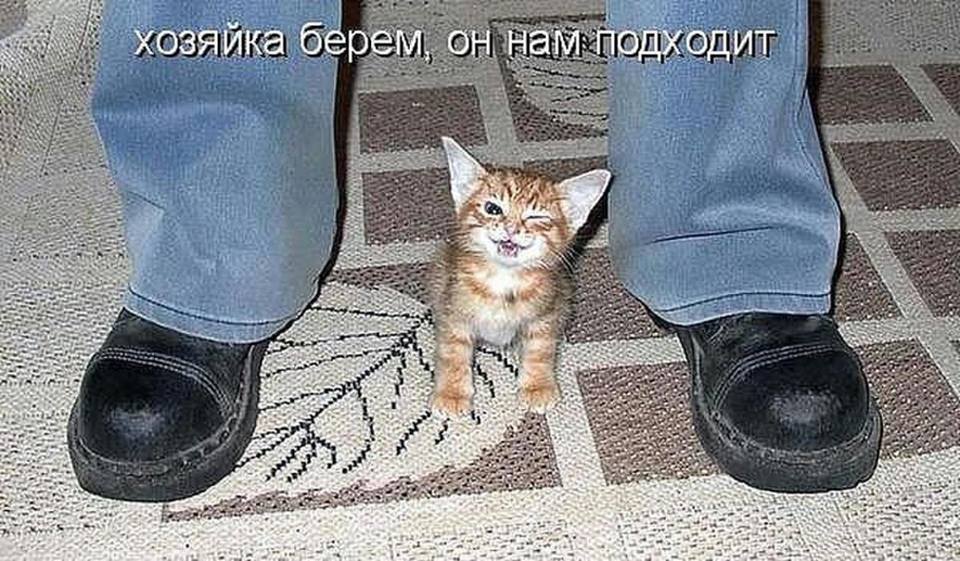 Коньяк признали лекарством...  Улыбнёмся?