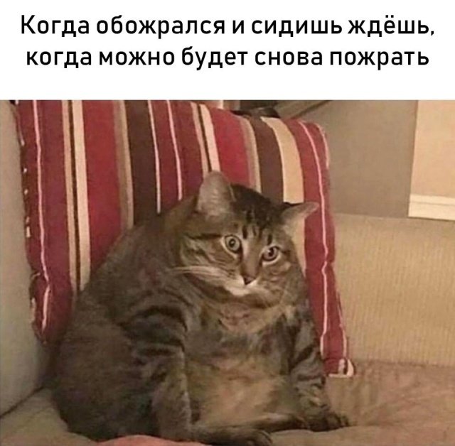 Прикольные картинки абавсём:D Прикольные картинки абавсём:D