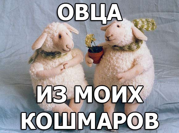 Овца из моих кошмаров