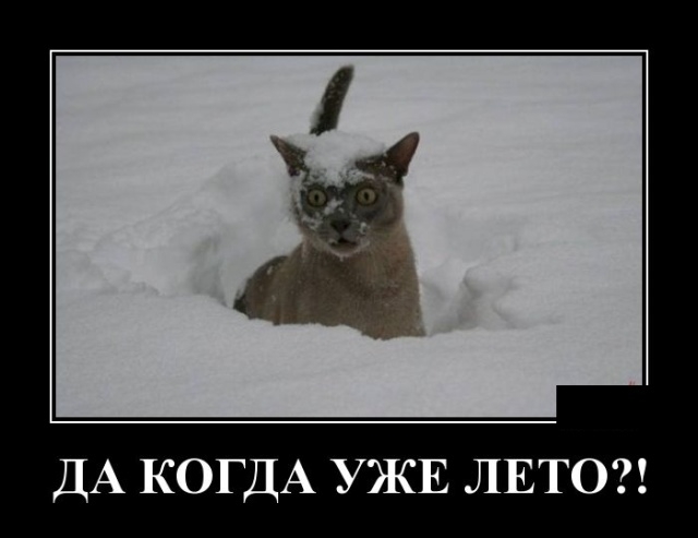 Демотиваторы Демотиваторы