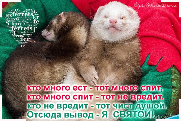 В январских выходных есть только один минус .... В январских выходных есть только один минус ....