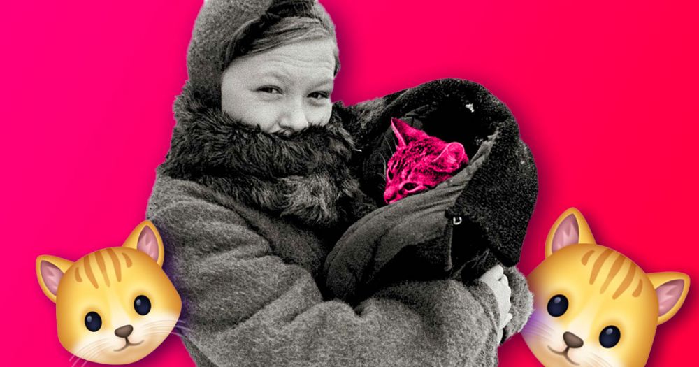 3 факта о том, как кошачья дивизия Ленинграда спасла город