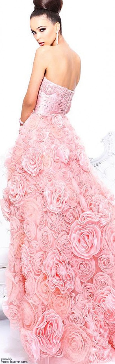 Sherri Hill Fall 2013 - an amazing gown!