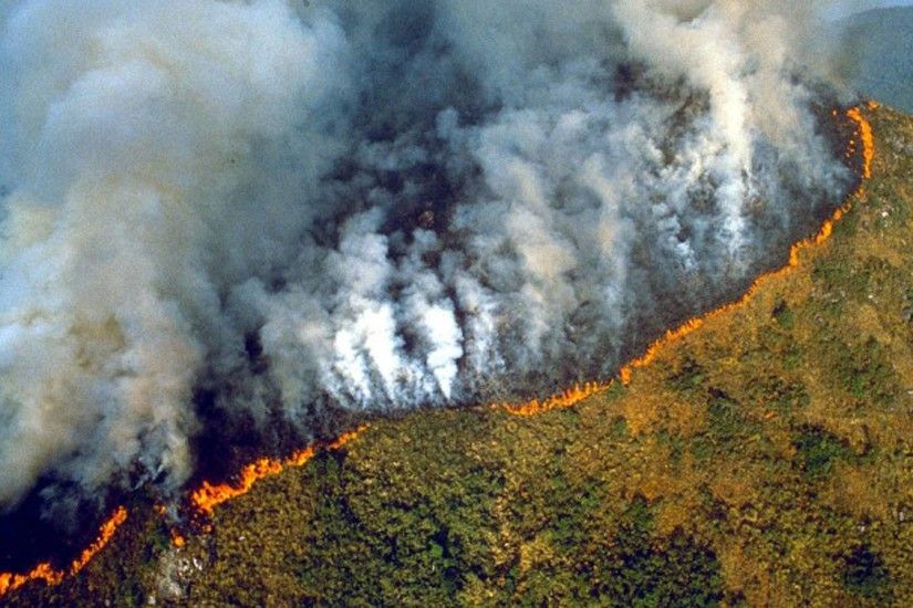 Пепельный дождь и затмение: Бразилия утопает в дыму из-за пожаров в лесах Амазонии