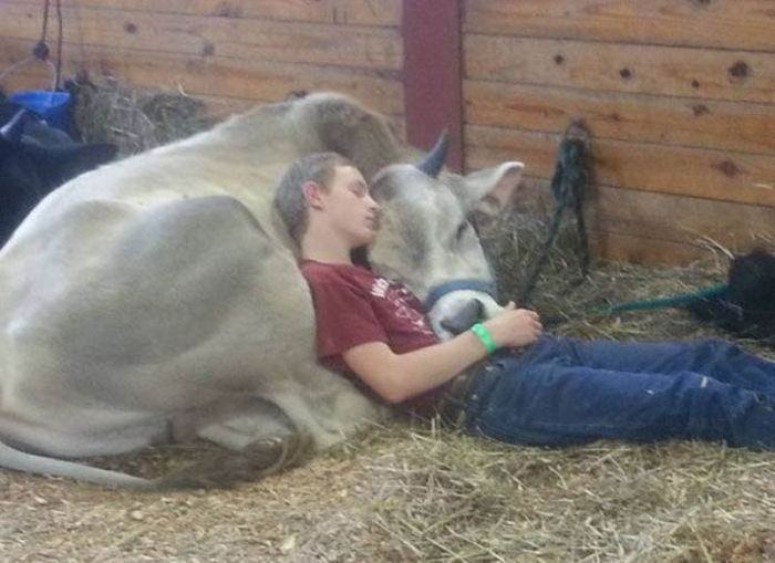 Коллекция эмоциональных снимков