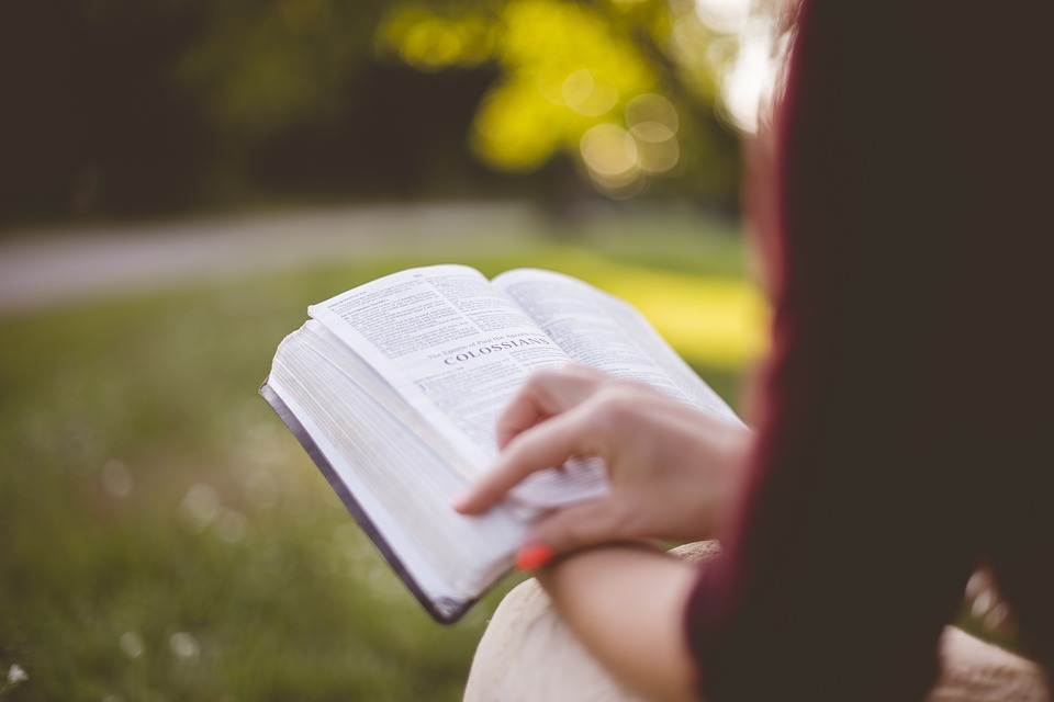 Книга. Фото: pixabay.com