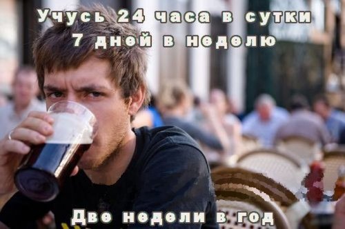 Свежие приколычи (38 шт)