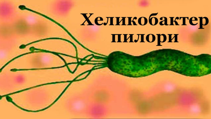 хилоры0806