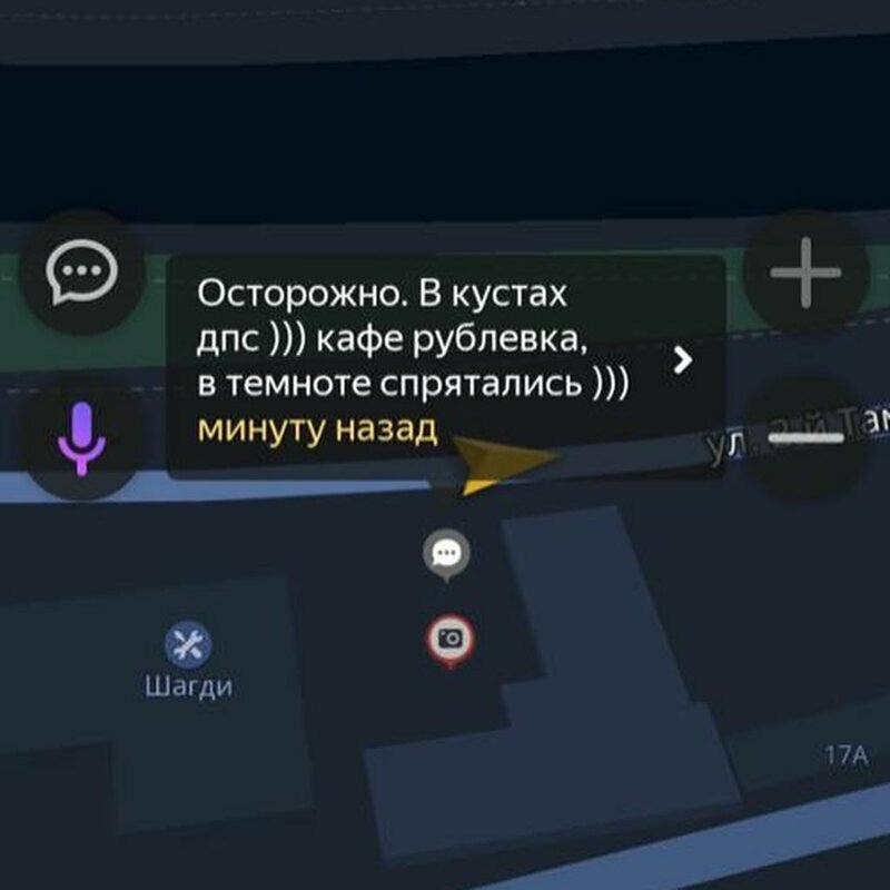 Они обожают играть в прятки ДПСники на страже порядка
(14 фото + 1 видео)