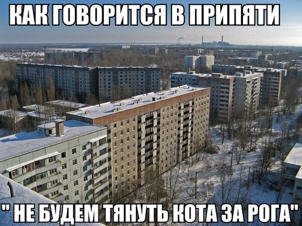 Новая партия искрометных приколов для надрыва животов Новая партия искрометных приколов для надрыва животов