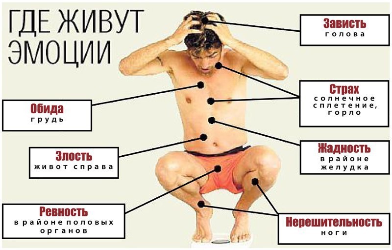 40% всех болезней от нервов. Как эмоции влияют на наше здоровье и что делать 40% всех болезней от нервов. Как эмоции влияют на наше здоровье и что делать