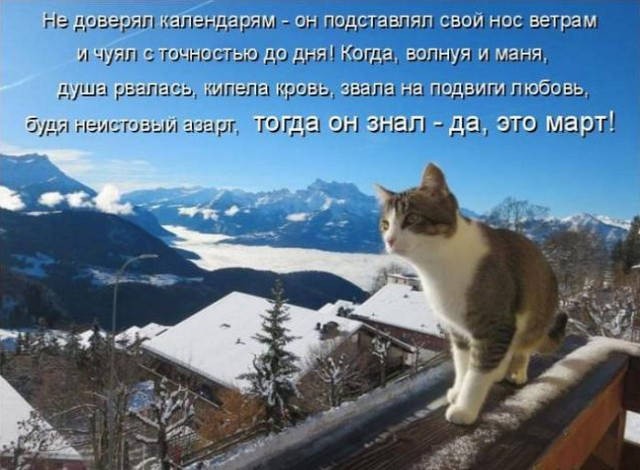 ЗАПАХЛО ВЕСНОЙ... ЗАПАХЛО ВЕСНОЙ...